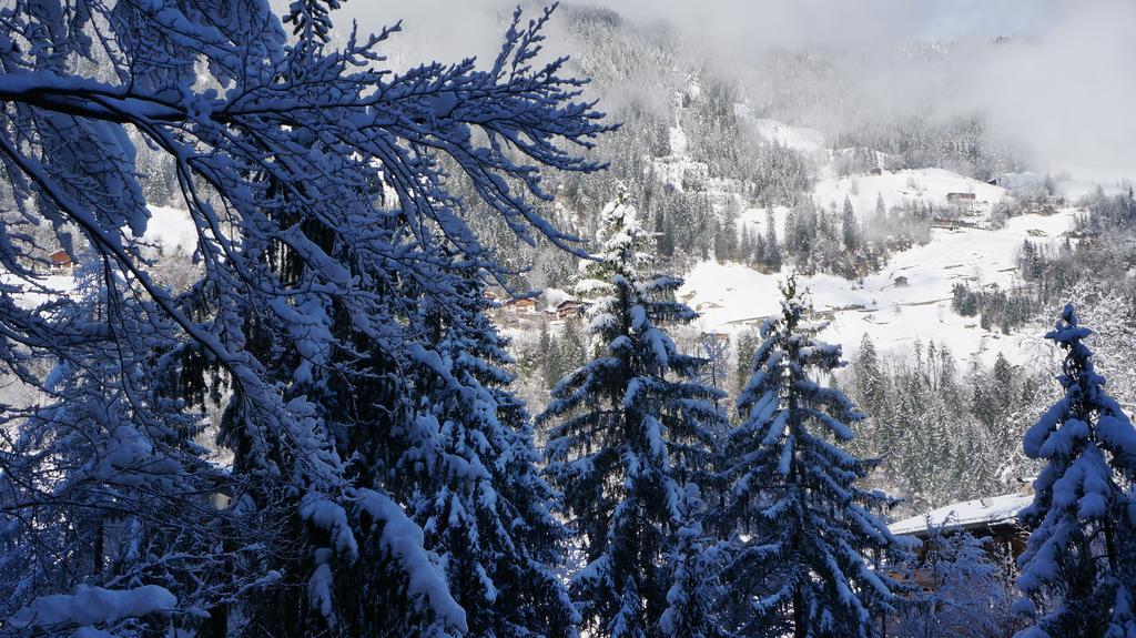 Appartements Alpenblick ฟิงเคนแบร์ก ภายนอก รูปภาพ