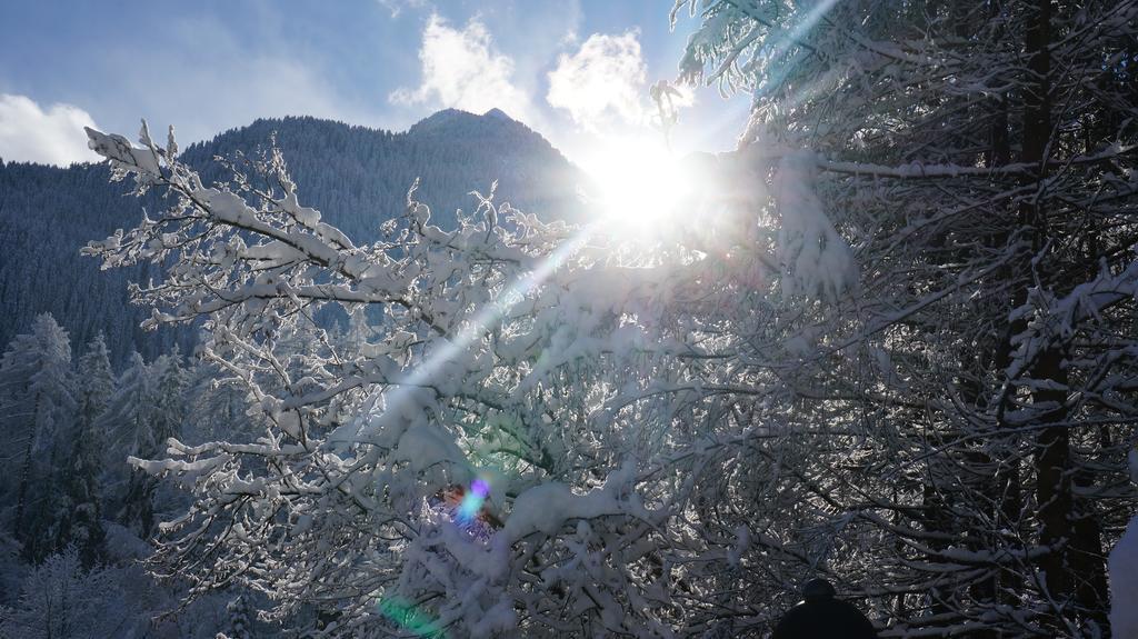 Appartements Alpenblick ฟิงเคนแบร์ก ภายนอก รูปภาพ
