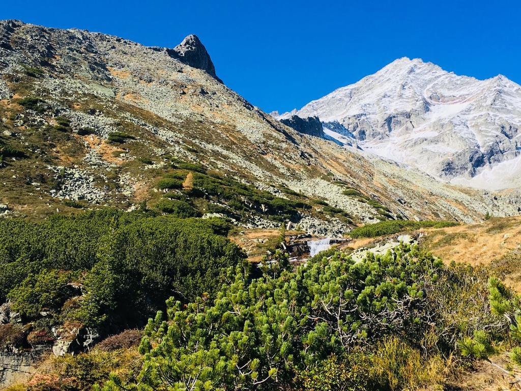 Appartements Alpenblick ฟิงเคนแบร์ก ภายนอก รูปภาพ