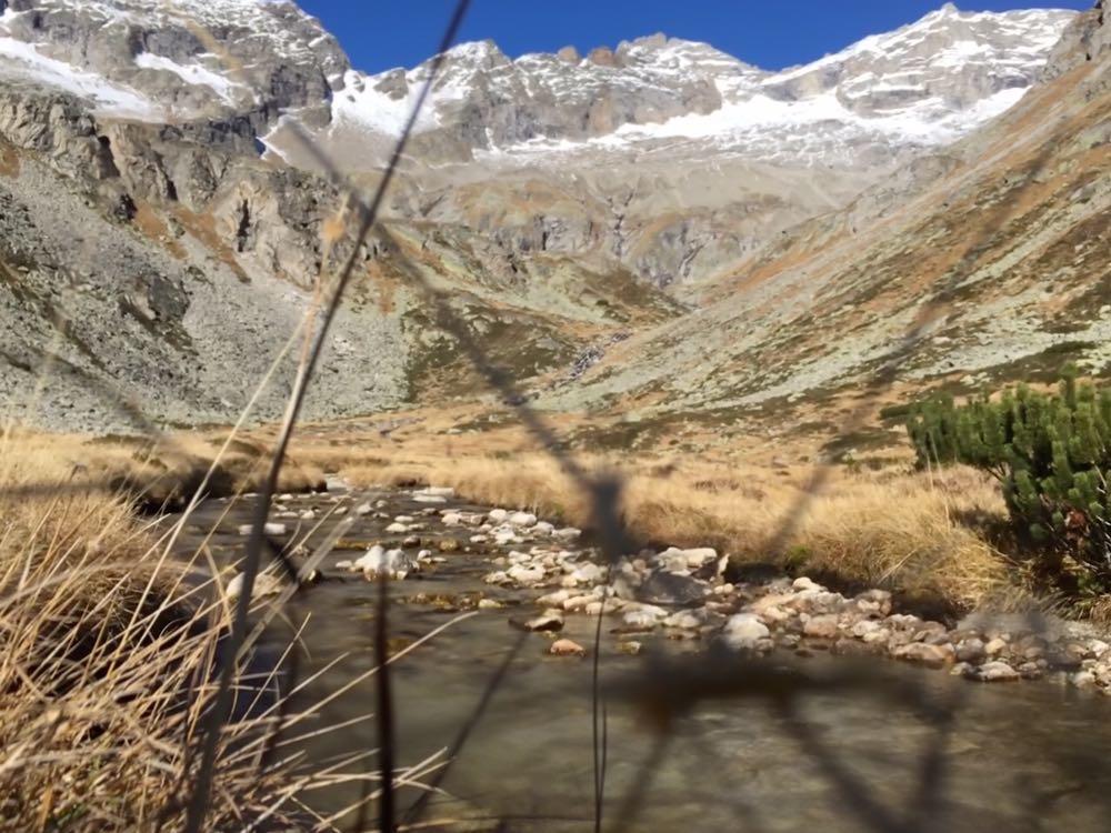 Appartements Alpenblick ฟิงเคนแบร์ก ภายนอก รูปภาพ